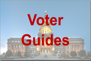 Voter Guides